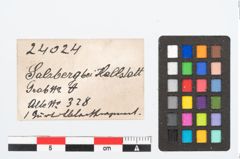Etikett zu Bronzegürtelblechfragment (NHMW-PRAE-024024)